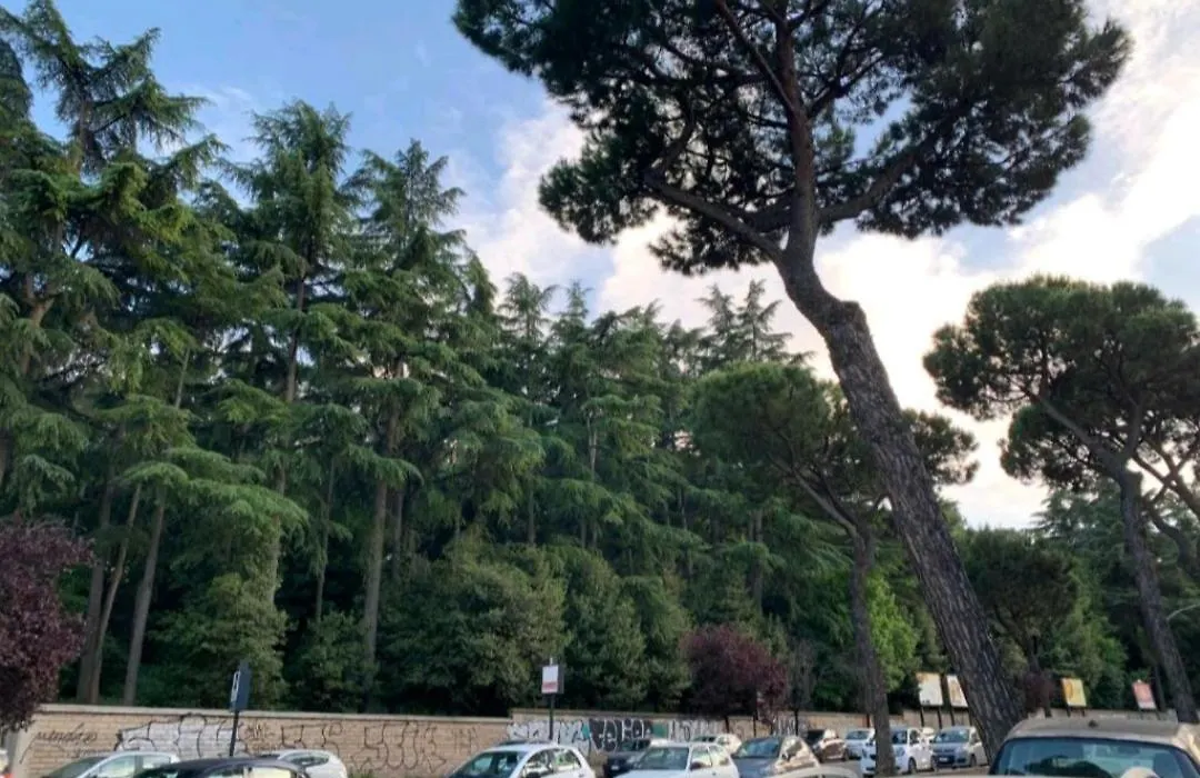 Roma San Pietro-1